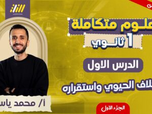 maxresdefault (35).jpg