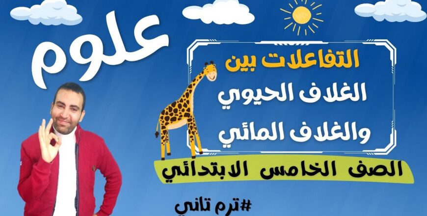 maxresdefault (39).jpg